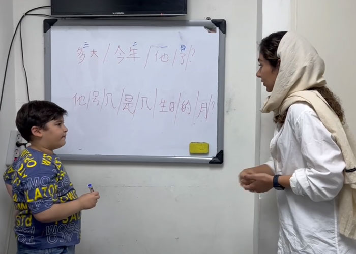 بهترین آموزشگاه زبان چینی