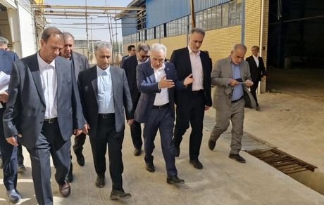 بازدید مدیرعامل بانک صنعت و معدن از 8 طرح تولیدی در استان فارس
