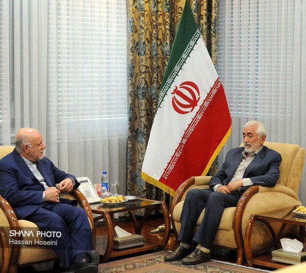 سید محمد غرضی:تجربیات زنگنه از نقشه های خرابکارانه دشمن قوی تر است