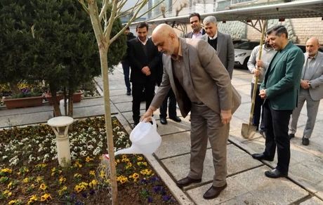 برگزاری آیین درختکاری توسط مدیرعامل و مدیران شرکت ملی صنایع مس ایران