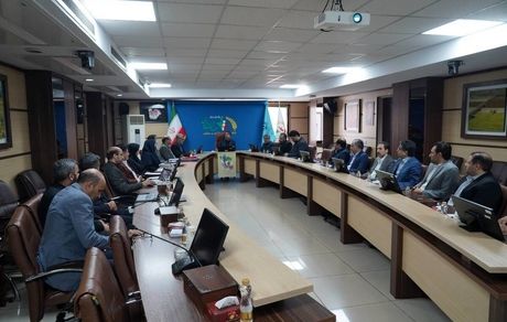 تأکید مدیرعامل صندوق بر اهمیت هماهنگی و انسجام میان بخش های مختلف در ارائه خدمات به جامعه هدف