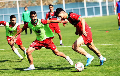 شکاری به تبریز برمی‌گردد