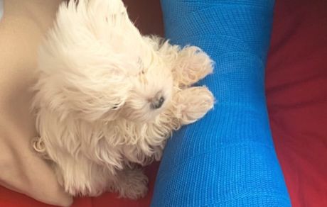 داستان زندگی این روزهای خانم بازیگر معروف + عکس