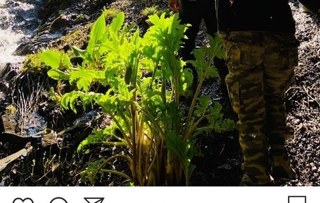 غار گردی خانم بازیگر  + عکس