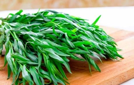 با خواص مرزه آشنا شوید/ از نابودی انگل‌های روده تا تسکین درد‌های مفصلی با خوردن مرزه