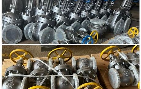 بازسازی و بومی‌سازی ولوهای فرسوده در پتروشیمی اروند