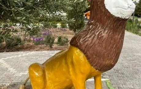 تصویری عجیب از شاهکار شهرداری رشت که وایرال شد