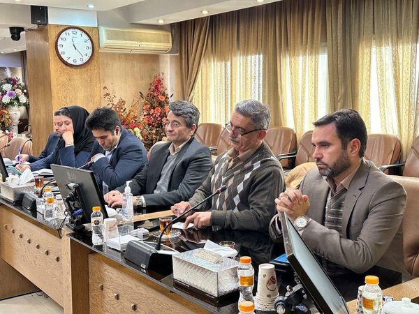 سرمایهگذاری برای ایجاد زنجیره ارزش و حلقههای تکمیلی زغال سنگ در خراسان جنوبی