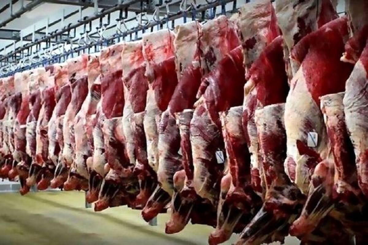 قیمت گوشت وارداتی جدید اعلام شد