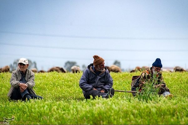 زمین «پتروشیمی میانکاله» پس گرفته می‌شود!