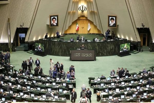 از اقتصاد چیزی نمی فهمید؛ پس در کار دولت دخالت نکنید