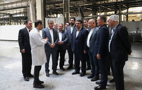 چتر حمایت بانک ملی ایران گسترده تر شد؛ امضا تفاهم‌نامه همکاری بین بانک و شرکت کاله