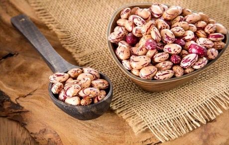 قیمت لوبیا چیتی به کیلویی ۲۴۵ هزار تومان رسید