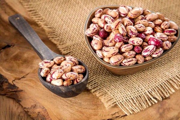 قیمت لوبیا چیتی به کیلویی ۲۴۵ هزار تومان رسید