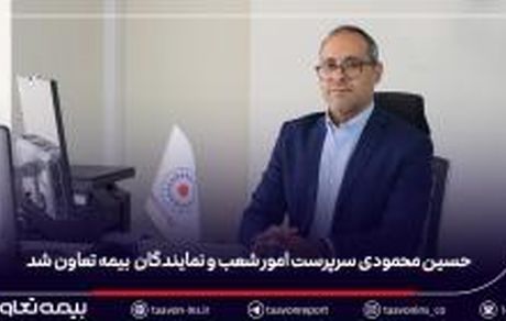 حسین محمودی سرپرست مدیریت امور شعب و نمایندگان بیمه تعاون شد