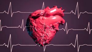 آیا قلب می تواند خودش را ترمیم کند؟