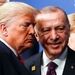 درخواست اردوغان از ترامپ چیست؟