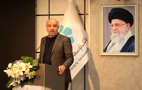 بانک توسعه تعاون می تواند حلقه واسط بین کسب و کارهای کوچک و خانگی با شرکت های بزرگ باشد