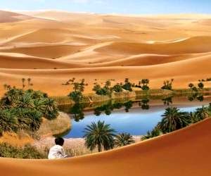حیاط خانه خود را تبدیل به واحه کنید! + عکس