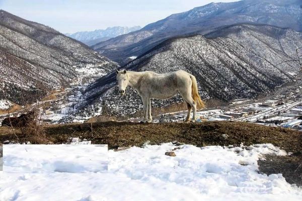 طبیعت برفی دریاچه شورمست سوادکوه
