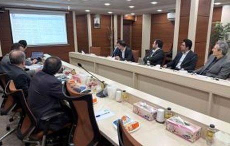 برگزاری جلسات عملکرد 9 ماهه و بودجه 1405 شرکت‌های تجلی و ایمپادکو در هلدینگ ومعادن