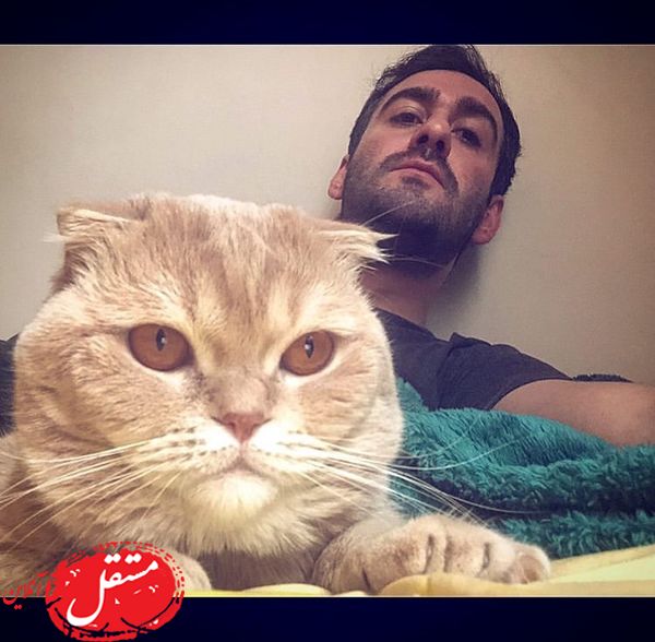 گربه بامزه آقا نیما + عکس