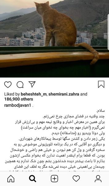 گربه خندوانه در صفحه رامبد جوان + عکس