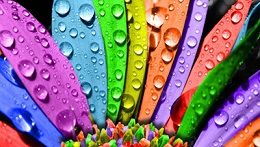 این رنگ ها تاثیر منفی روی احساسات تان می گذارند! 