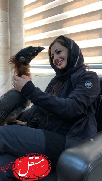 پرنده عجیب نفیسه روشن + عکس