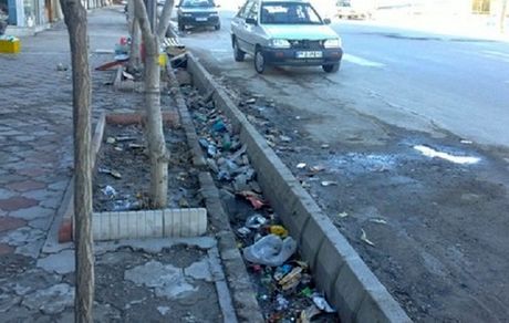 شیوع یک کار غیر فرهنگی در خیابان ها + عکس