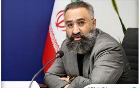 تشریح آثار رویکرد شفافیت در صورتهای مالی بیمه سینا