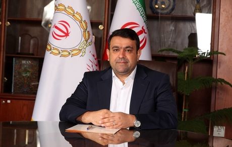 پیام مدیرعامل بانک ملی ایران به مناسبت هفته دفاع مقدس