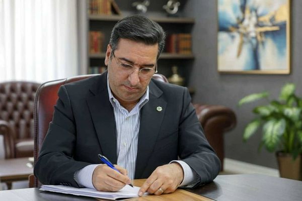 پیام مدیرعامل بانک توسعه تعاون به مناسبت هفته دفاع مقدس