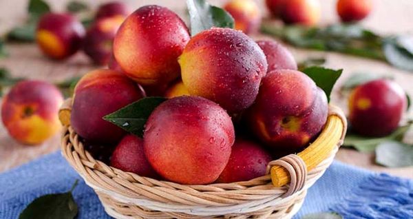 با خوردن این میوه در 3 سوت لاغر شوید