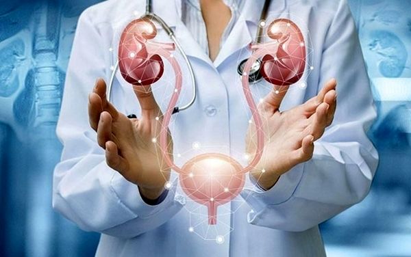 چگونه یک متخصص اورولوژی خوب در مشهد انتخاب کنیم؟ معرفی یک مرکز معتبر درمانی