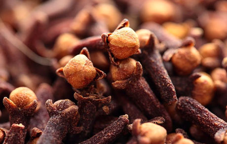 آشنایی  باخواص طبی و درمانی میخک