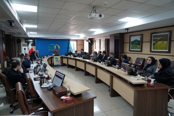 تأکید بر انسجام سازمانی و توسعه پوشش بیمه‌ای