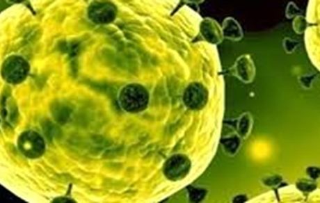 کرونا یک هفته‌ باشگاه‌ها را تعطیل کرد