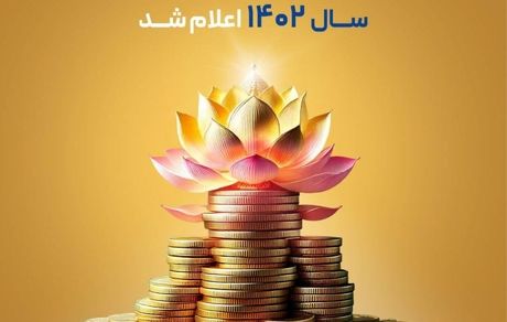 سود مشارکت در منافع سال ۱۴۰۲ بیمه پاسارگاد اعلام شد