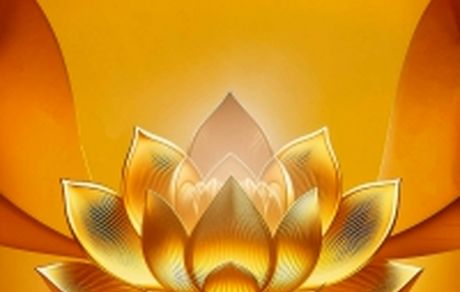 بیمه پاسارگاد رکورد شکنی کرد