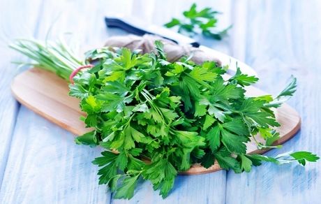 
معجزه جعفری برای پاکسازی کلیه‌ها
