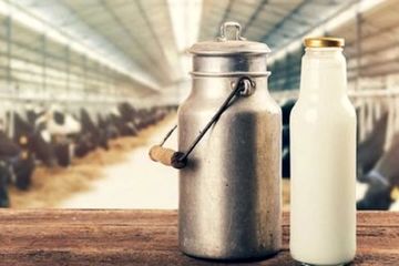 در چه زمانی شیر را به جای آب انتخاب کنیم؟