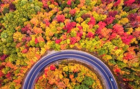 تصویری رویایی از جاده پاییزی اسالم به خلخال