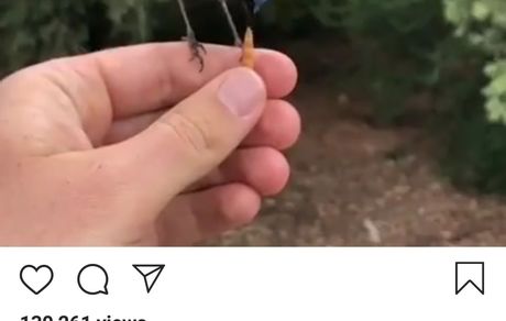 کنایه تهمینه میلانی به اعتماد در ایران + عکس