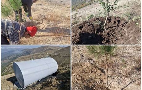 باقریان: احیای جنگلهای قره‌داغ محور راهبردی محیط‌زیست سونگون است