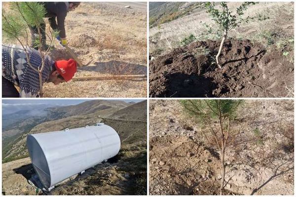 باقریان: احیای جنگلهای قره‌داغ محور راهبردی محیط‌زیست سونگون است