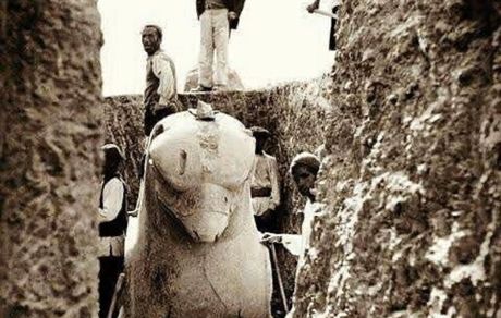 عکسی از تخت‌جمشید هنگام بیرون آوردن شیردال از دل خاک