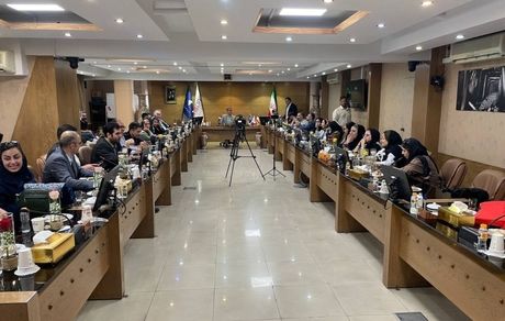 آماده‌سازی یک بسته سرمایه‌گذاری معدنی به ارزش ۴۱۰ میلیارد تومان از سوی ایمپاسکو