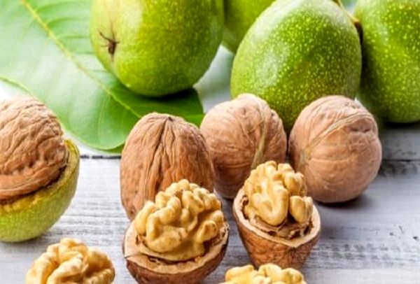 سلامت رودهتان را با این ماده غذایی تضمین کنید