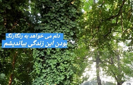 همسر سابق آقای بازیگر دلش رنگی شد + عکس